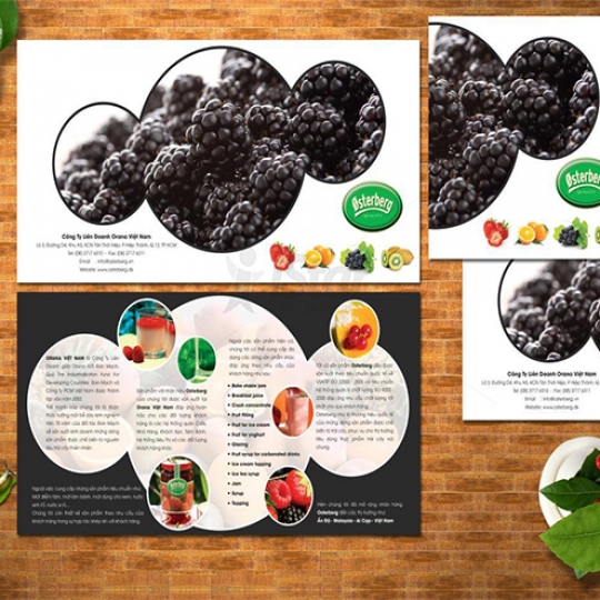 Brochure 5