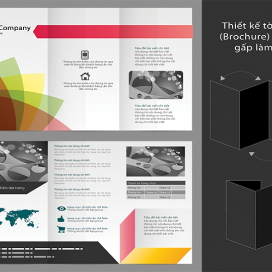 Brochure 8